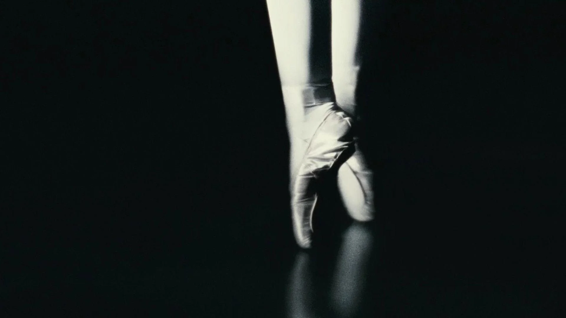 black-swan